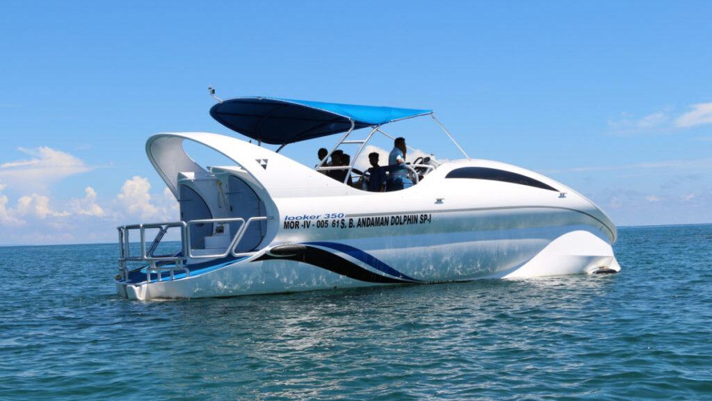 Dolphin-Glass-Bottom-Boat-Ride-Image1-1024x683