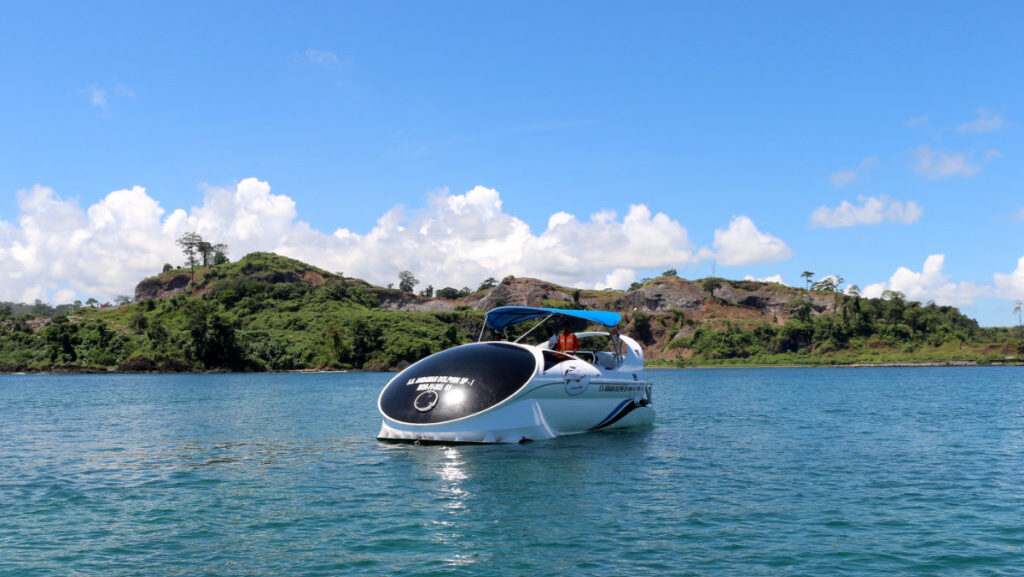 Dolphin-Glass-Bottom-Boat-Ride-Image2-1024x683