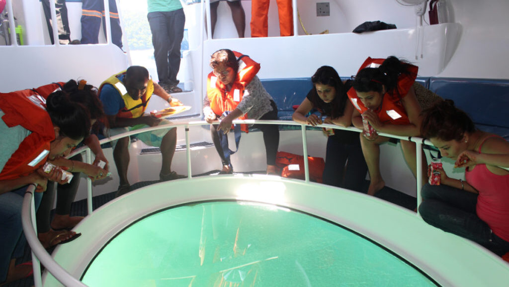 Dolphin-Glass-Bottom-Boat-Ride-Image5-1024x683