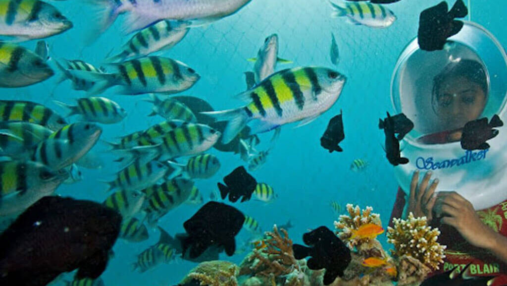 SEA-WALKING-OR-HELMET-DIVING-in-Andaman1