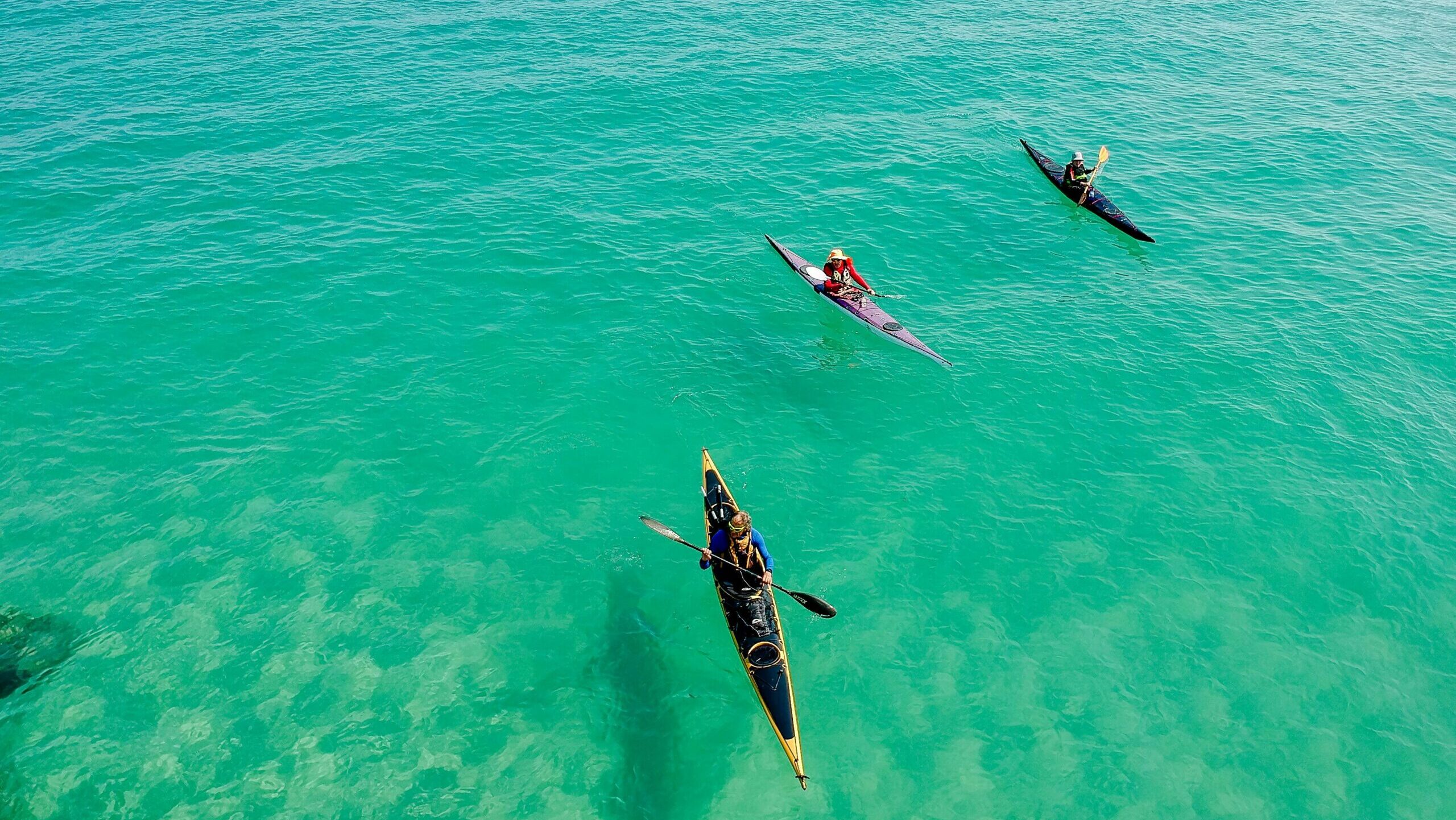 Three kayakers paddle through pristine, turquoise ocean waters, enjoying a sunny outdoor adventure.
