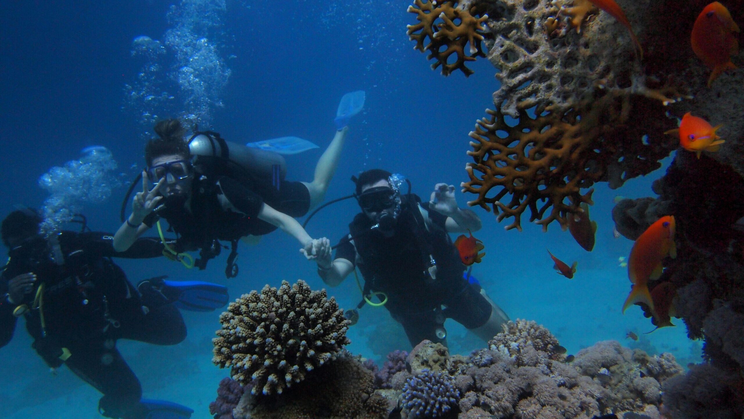 Group of scuba divers swimming near colorful coral reef with fish, showcasing underwater marine life.