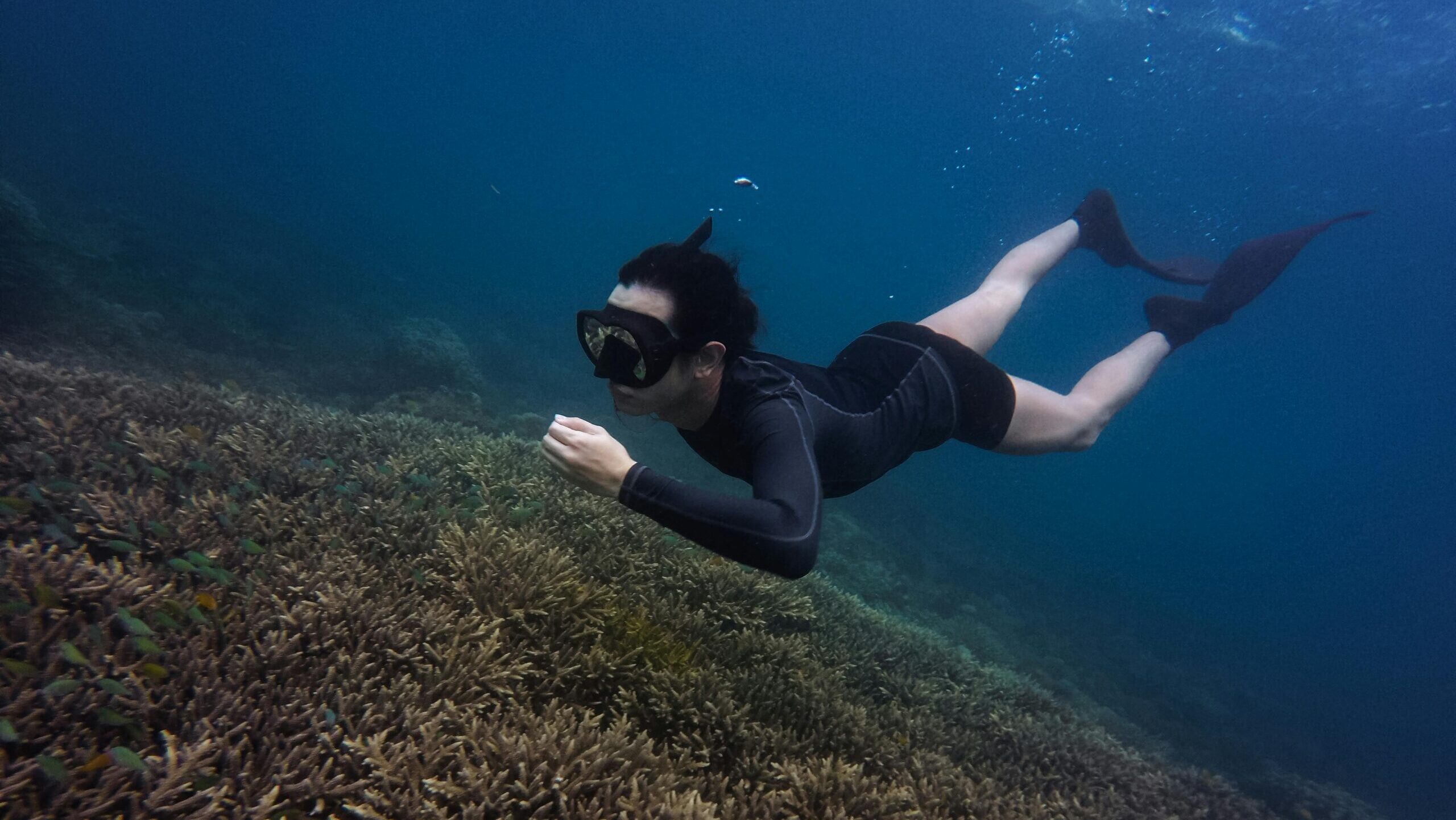 Diver snorkeling over vibrant coral reef showcasing marine life exploration.
