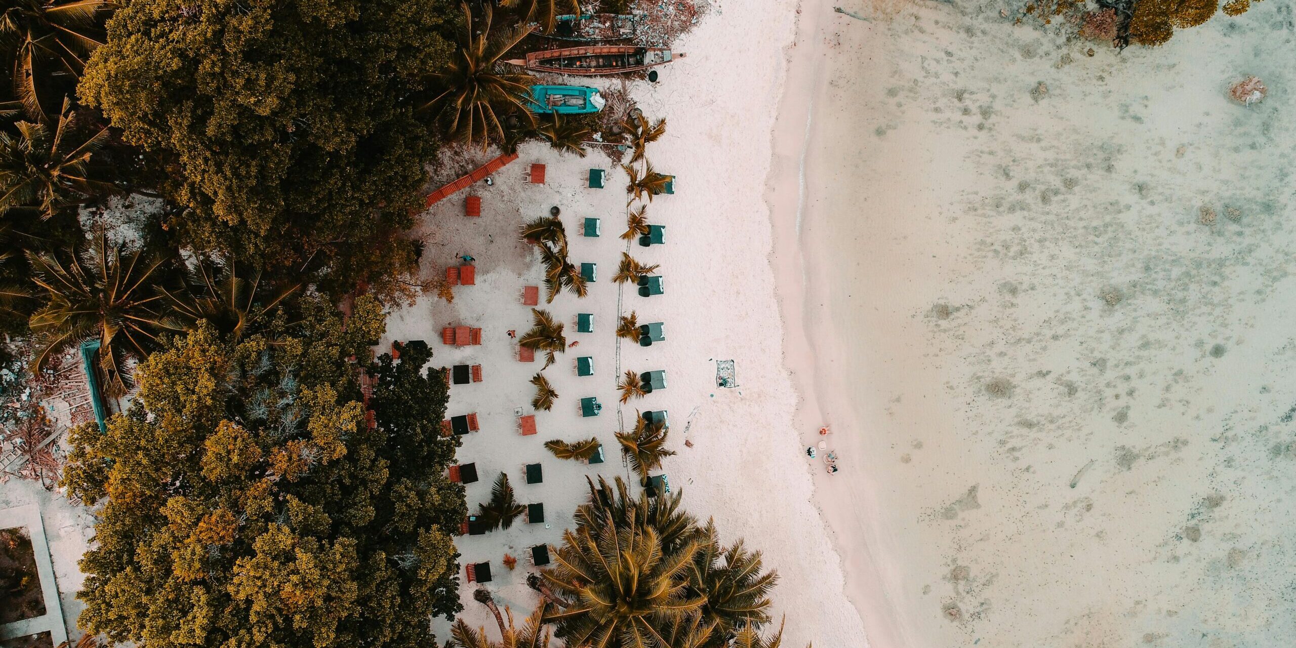 Aerial view of a tropical beach with sun loungers, palm trees, and white sand in the Andaman Islands.